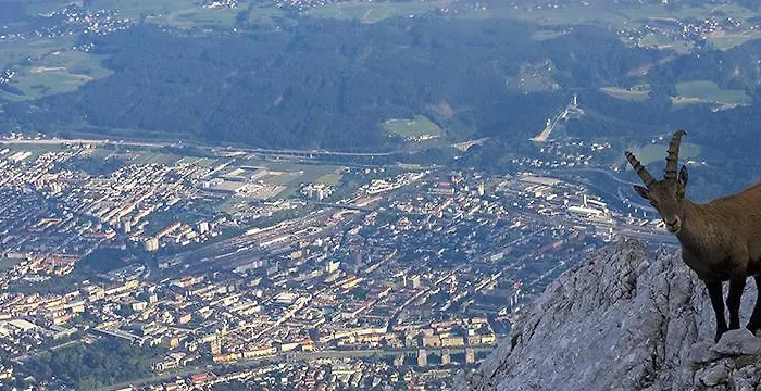 Отель Charlotte